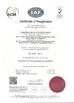 China Guangzhou Bravo Auto Parts Limited certificaciones